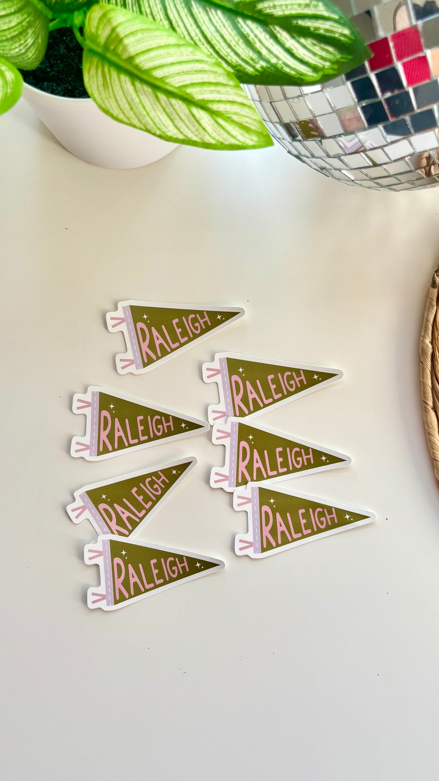 Raleigh Pennant Sticker